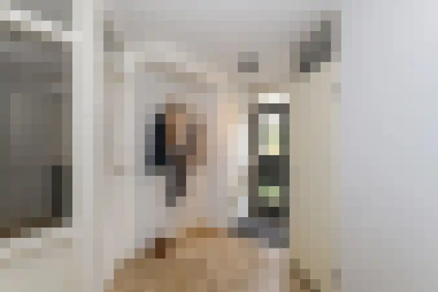 Vlierbessenstraat 4 Rockanje thumbnail 17