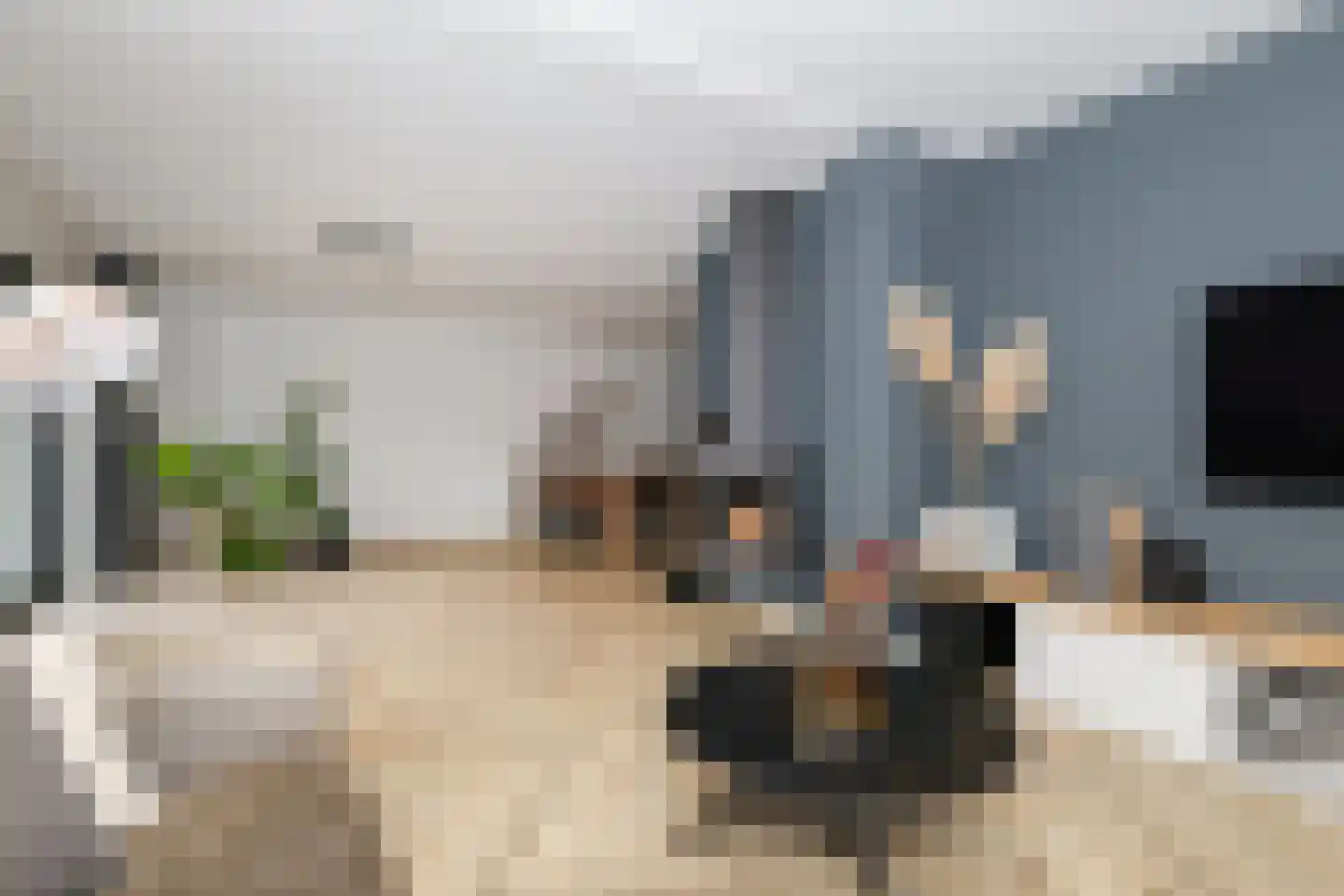 Vlierbessenstraat 4 Rockanje thumbnail 22