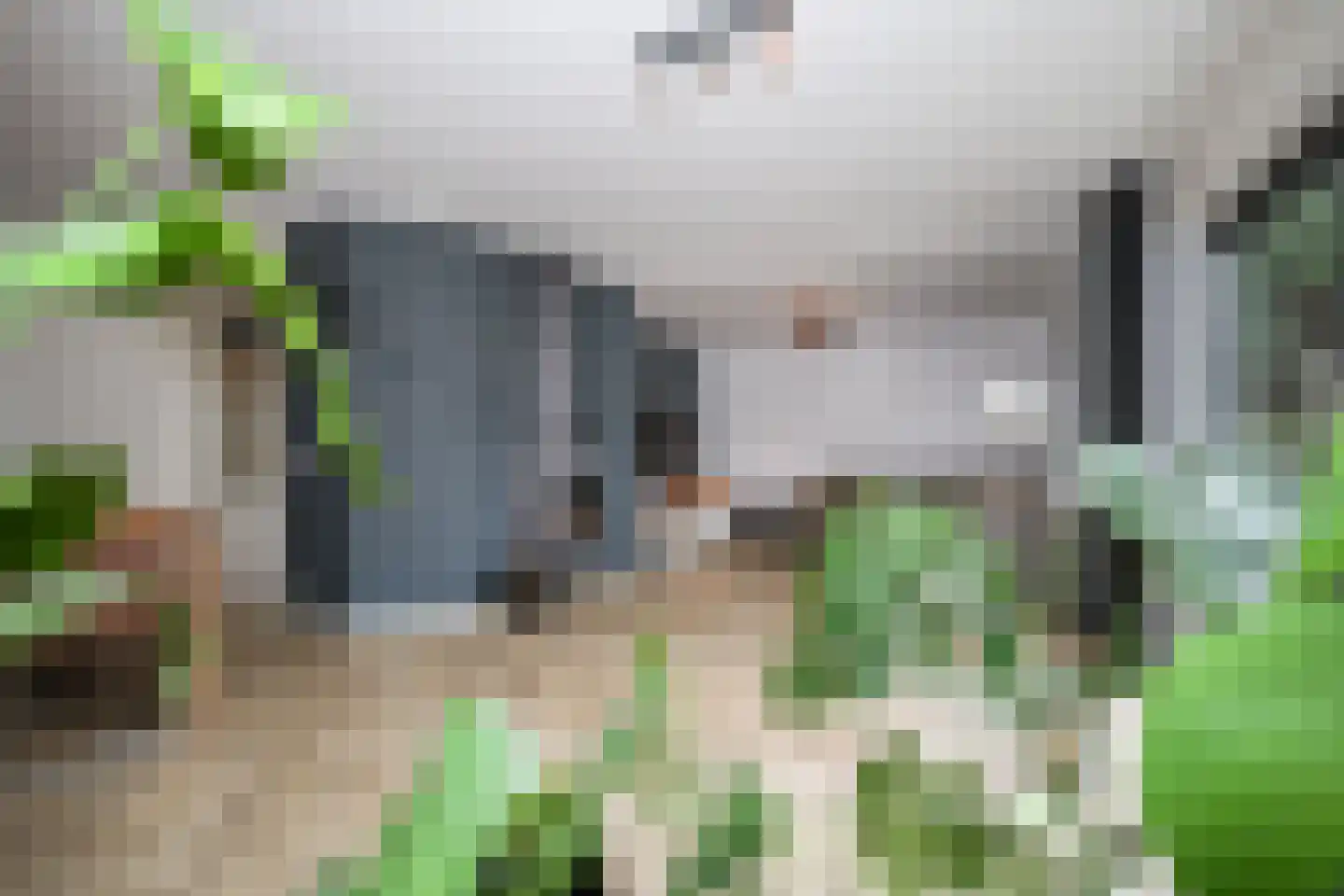 Vlierbessenstraat 4 Rockanje thumbnail 28