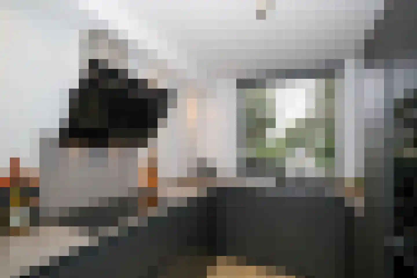 Vlierbessenstraat 4 Rockanje thumbnail 33
