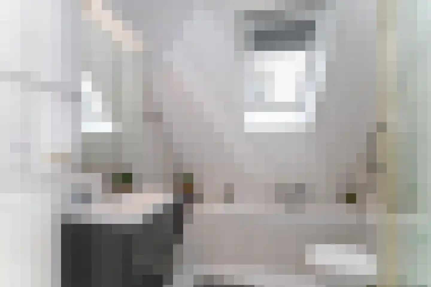 Vlierbessenstraat 4 Rockanje thumbnail 37