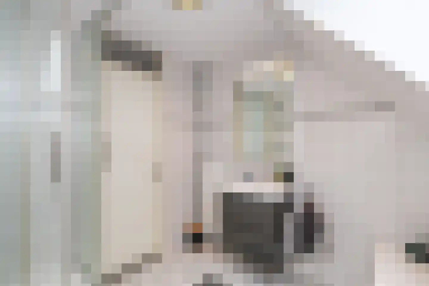 Vlierbessenstraat 4 Rockanje thumbnail 38