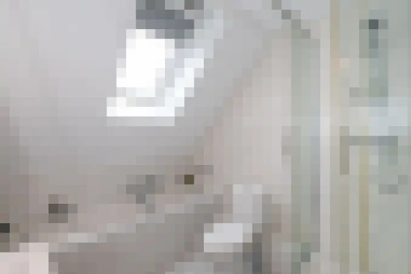 Vlierbessenstraat 4 Rockanje thumbnail 39