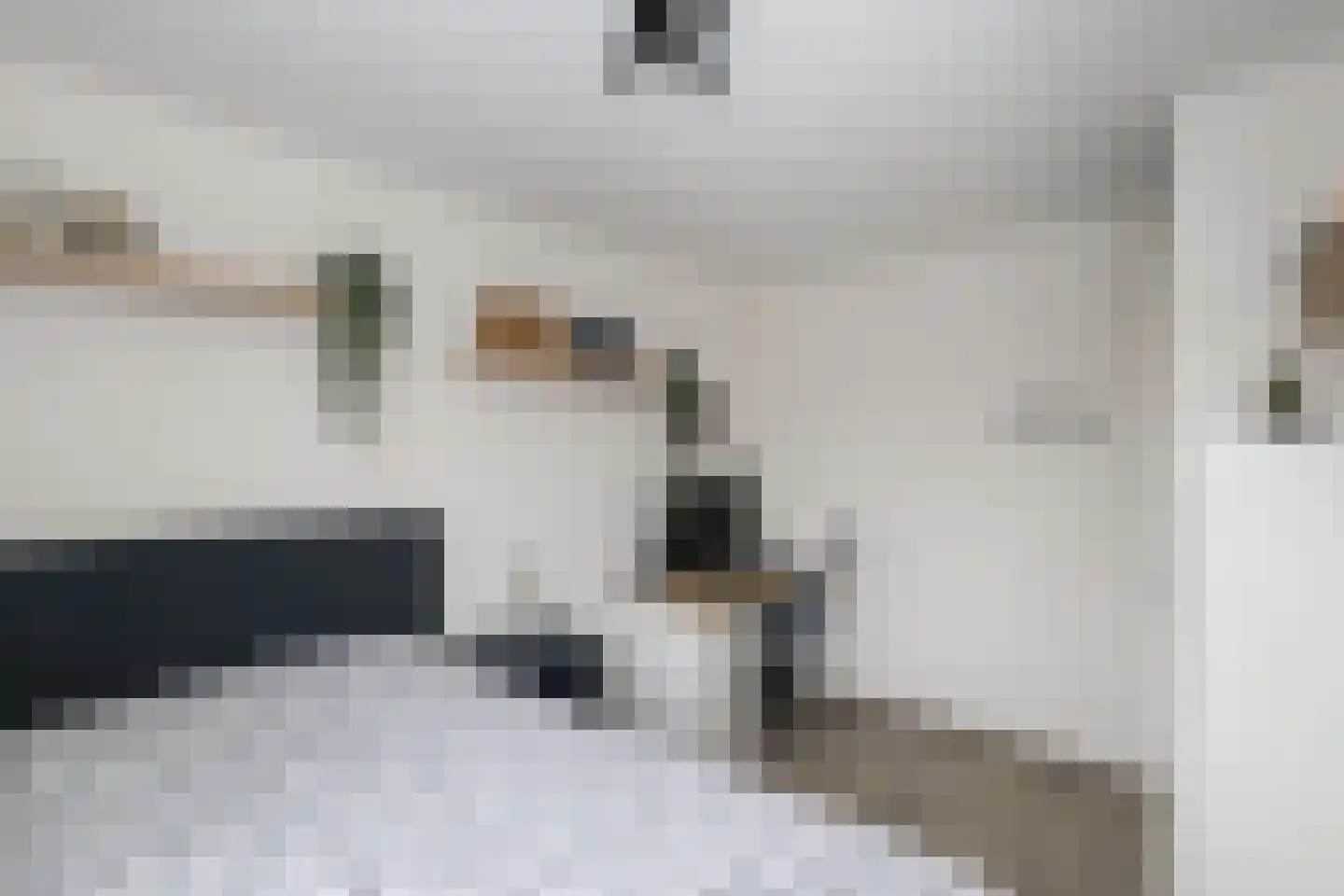 Vlierbessenstraat 4 Rockanje thumbnail 42