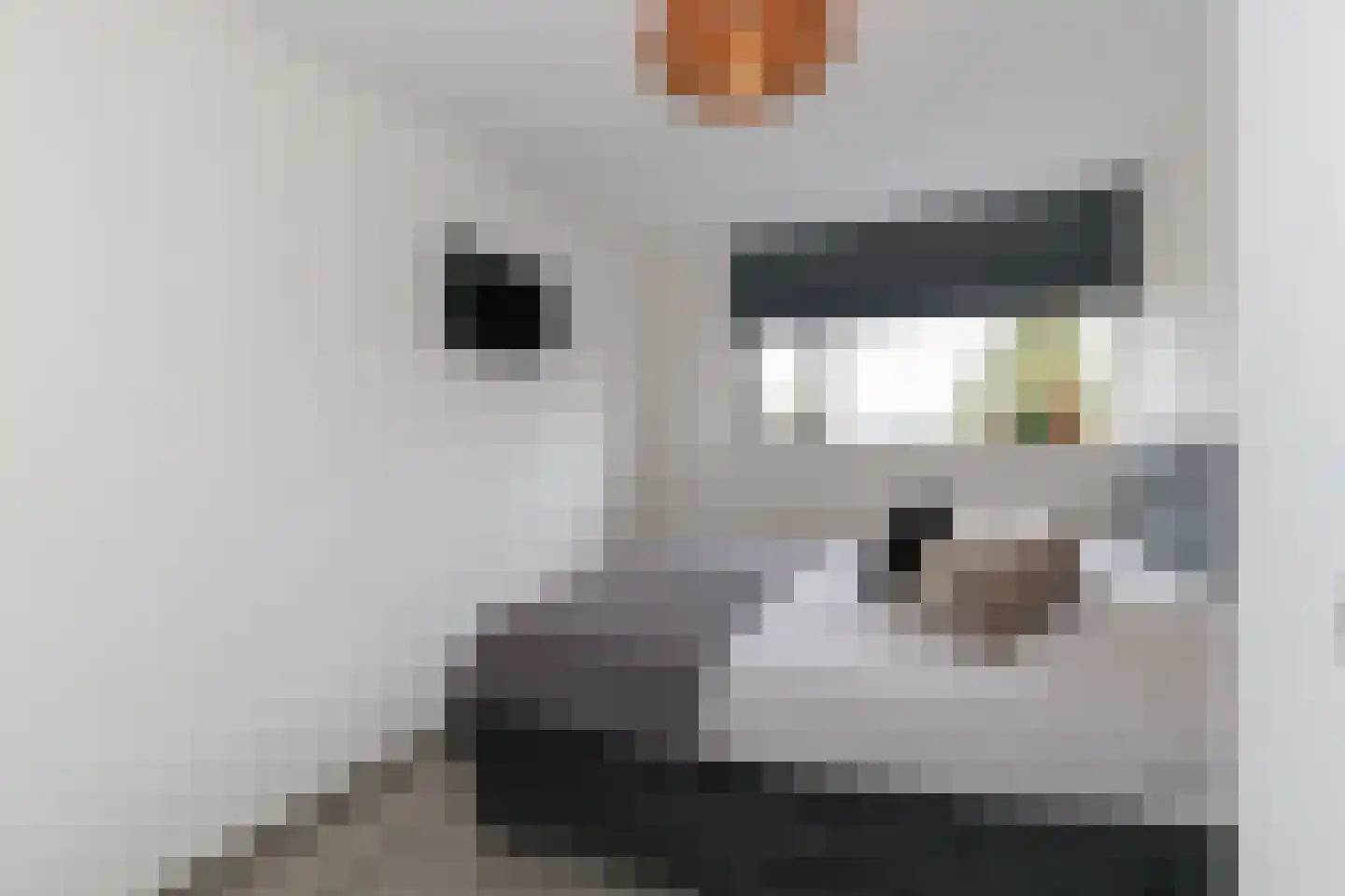 Vlierbessenstraat 4 Rockanje thumbnail 44