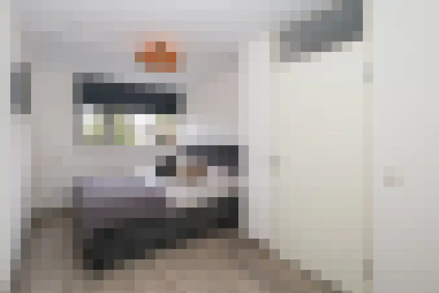 Vlierbessenstraat 4 Rockanje thumbnail 46