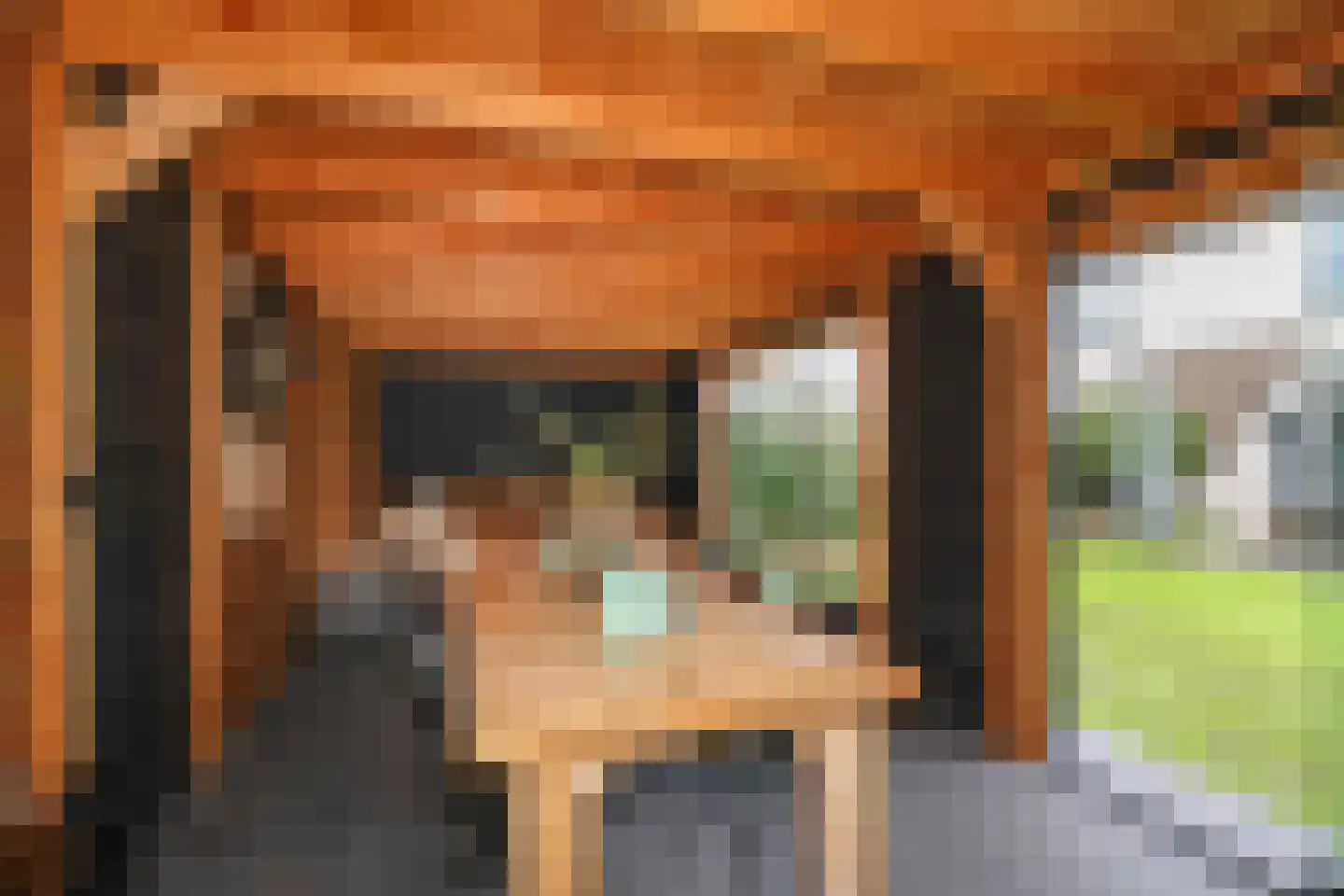 Vlierbessenstraat 4 Rockanje thumbnail 5