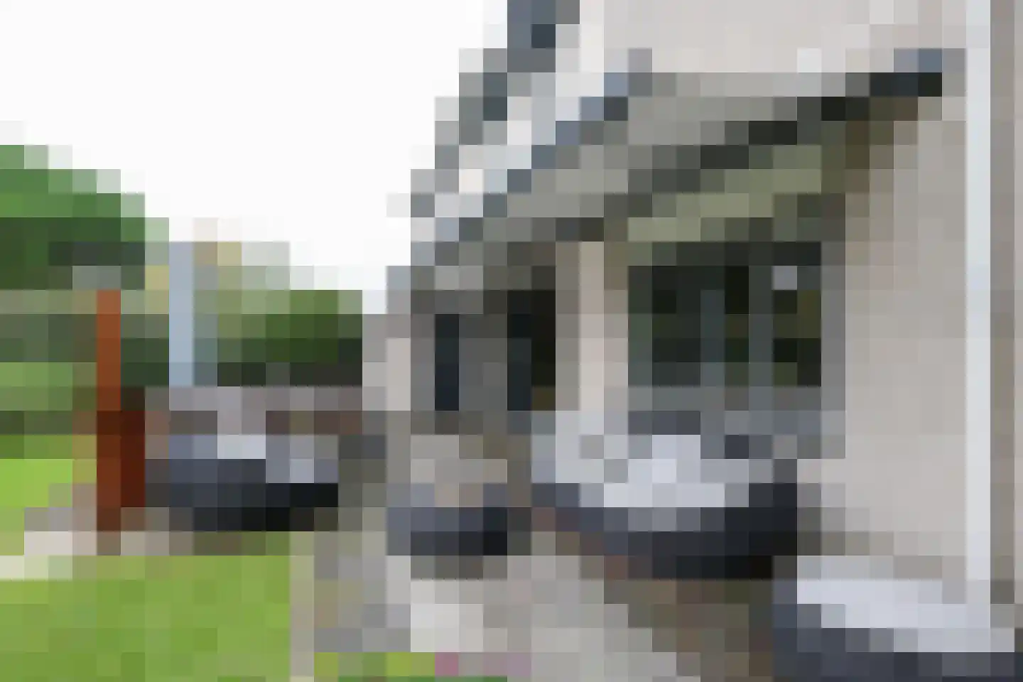 Vlierbessenstraat 4 Rockanje thumbnail 58