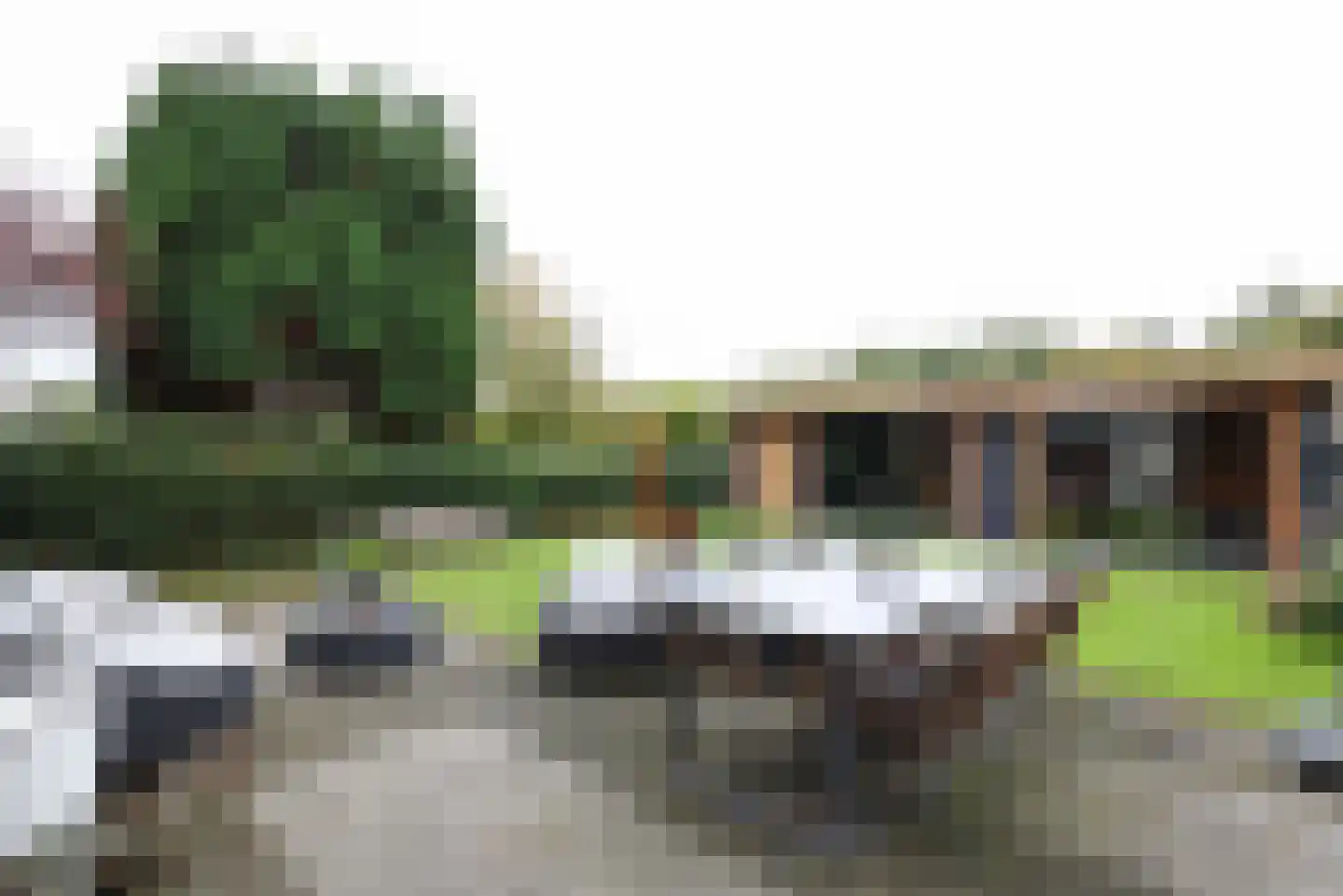 Vlierbessenstraat 4 Rockanje thumbnail 62