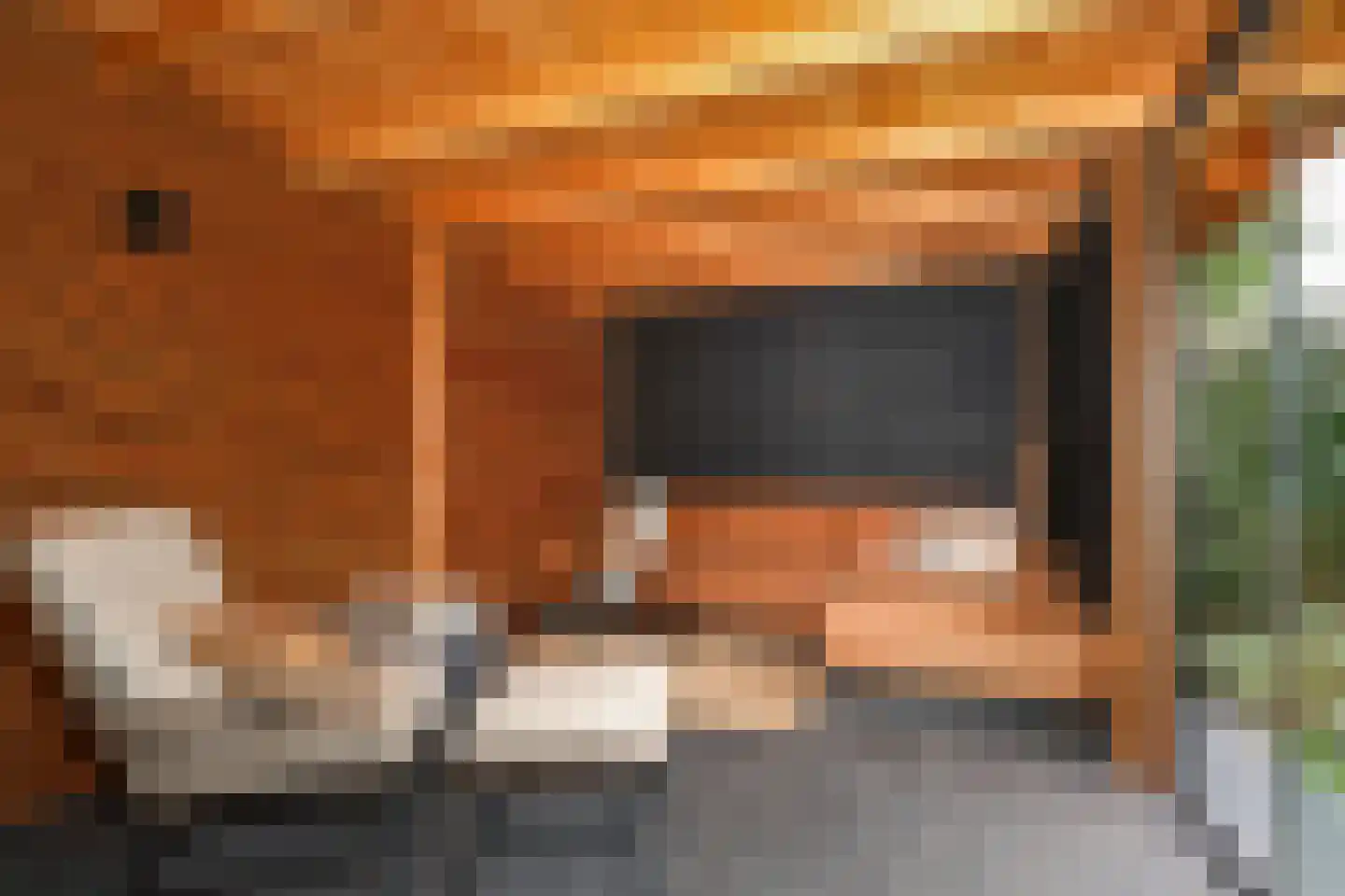 Vlierbessenstraat 4 Rockanje thumbnail 65