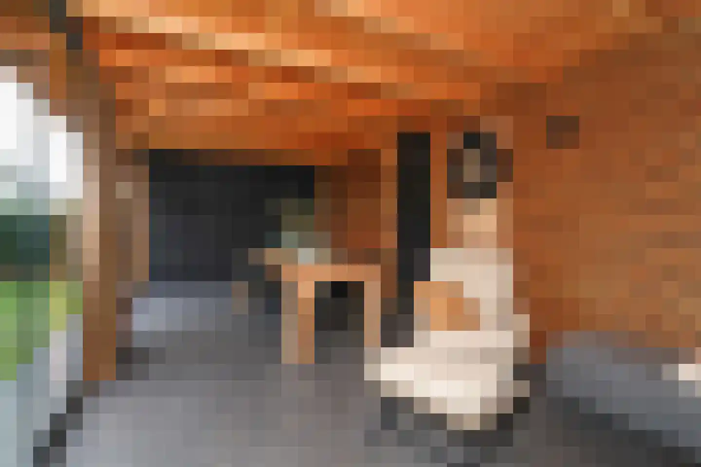 Vlierbessenstraat 4 Rockanje thumbnail 67