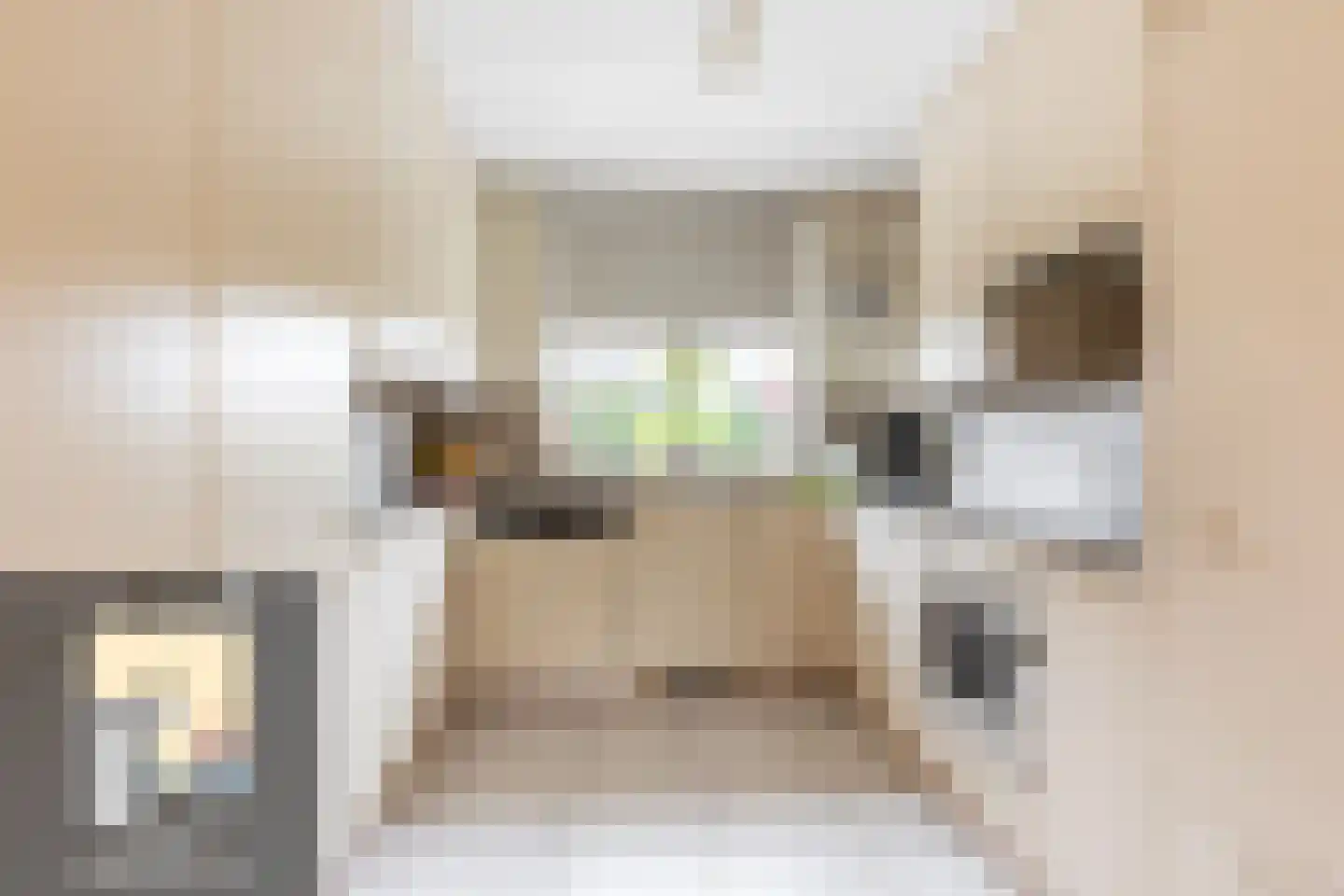 Vlierbessenstraat 8 Rockanje thumbnail 11