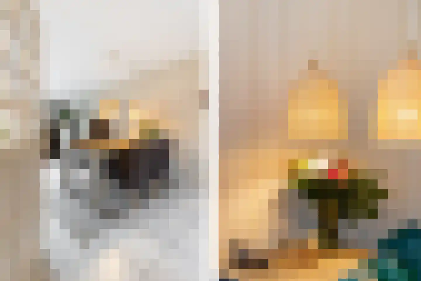 Vlierbessenstraat 8 Rockanje thumbnail 14