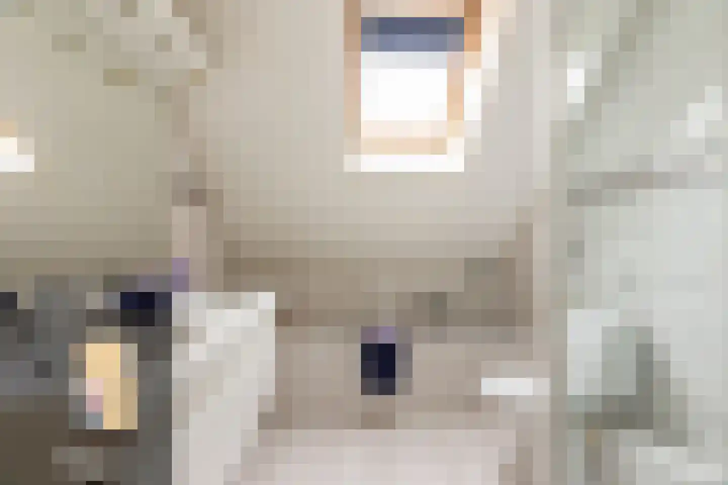 Vlierbessenstraat 8 Rockanje thumbnail 21