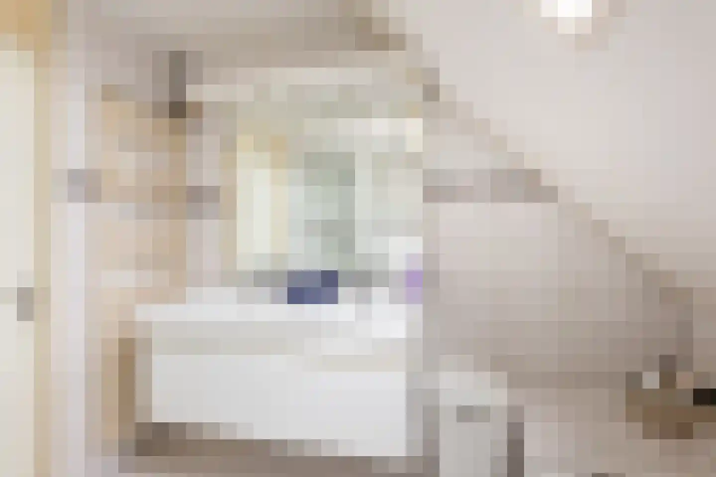 Vlierbessenstraat 8 Rockanje thumbnail 22