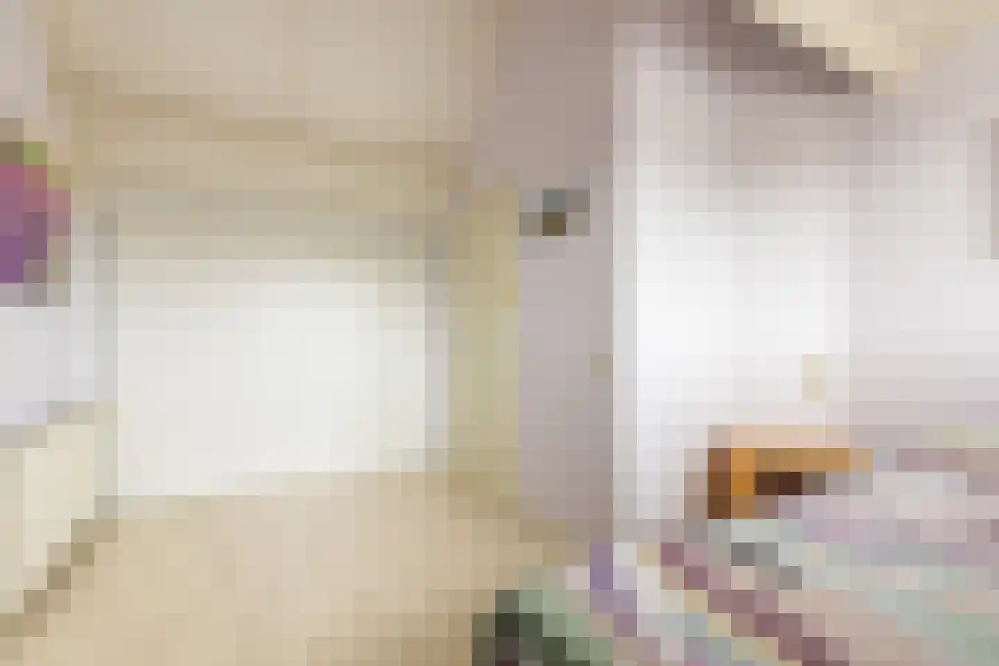Vlierbessenstraat 8 Rockanje thumbnail 28