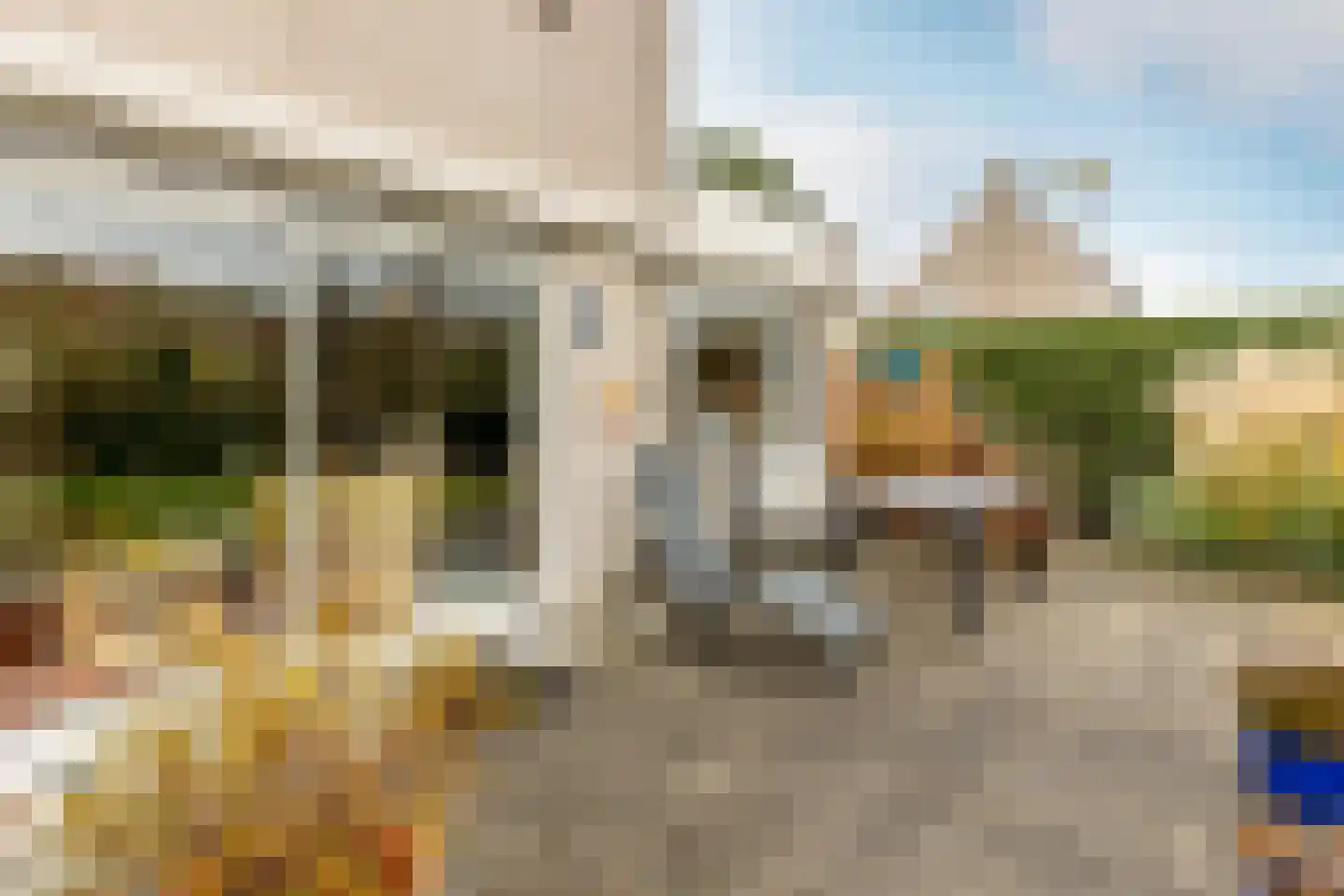 Vlierbessenstraat 8 Rockanje thumbnail 30