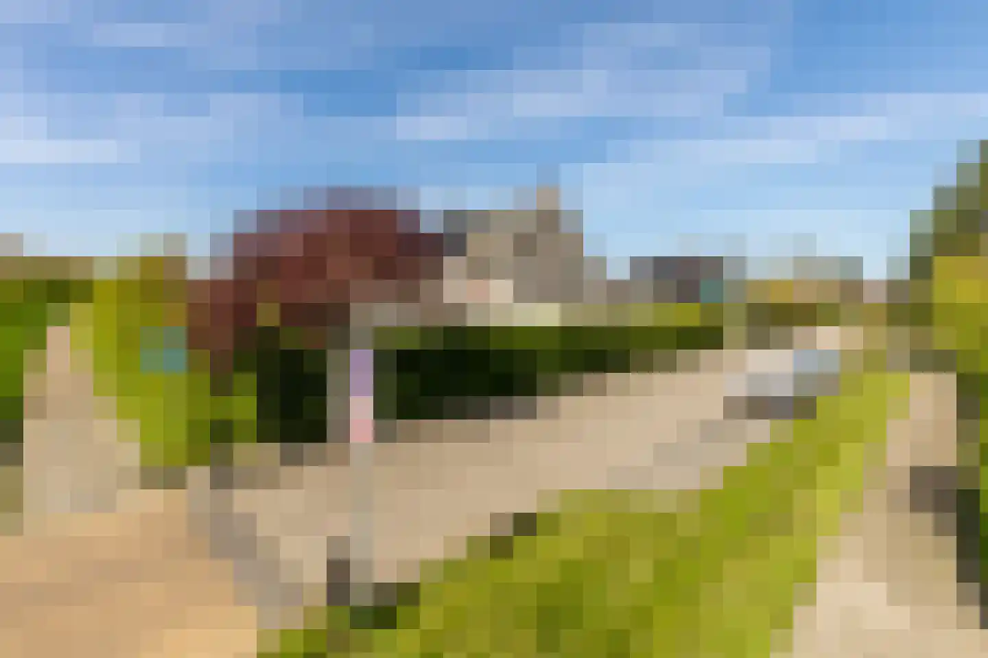 Vlierbessenstraat 8 Rockanje thumbnail 39