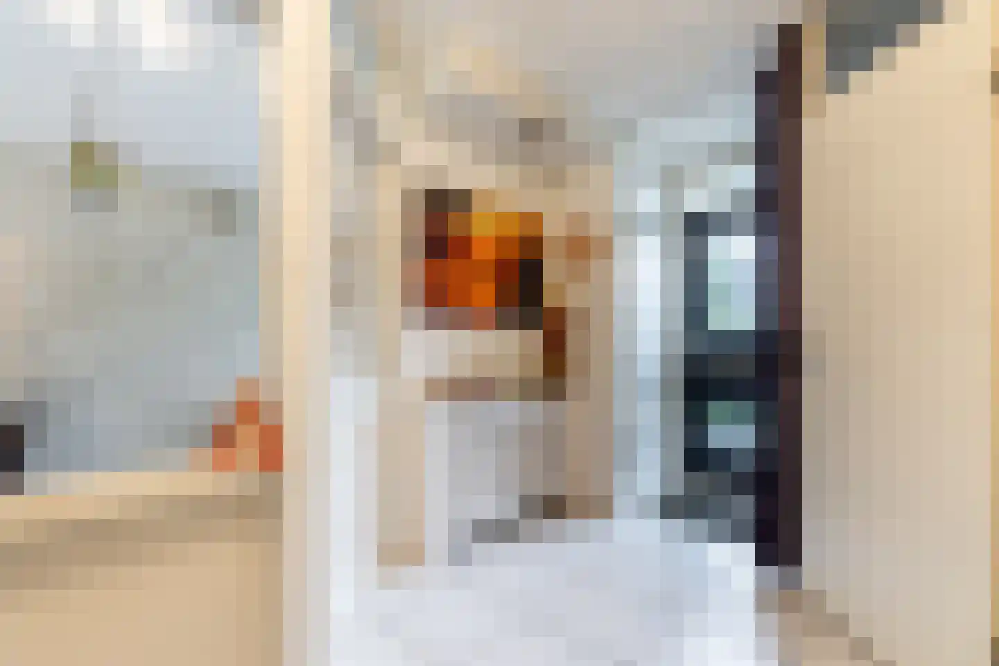 Vlierbessenstraat 8 Rockanje thumbnail 5