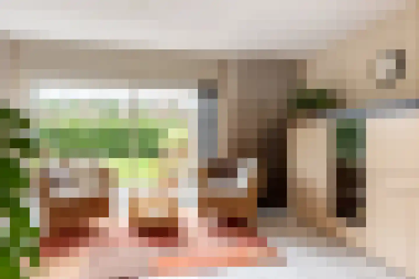 Vlierbessenstraat 8 Rockanje thumbnail 8
