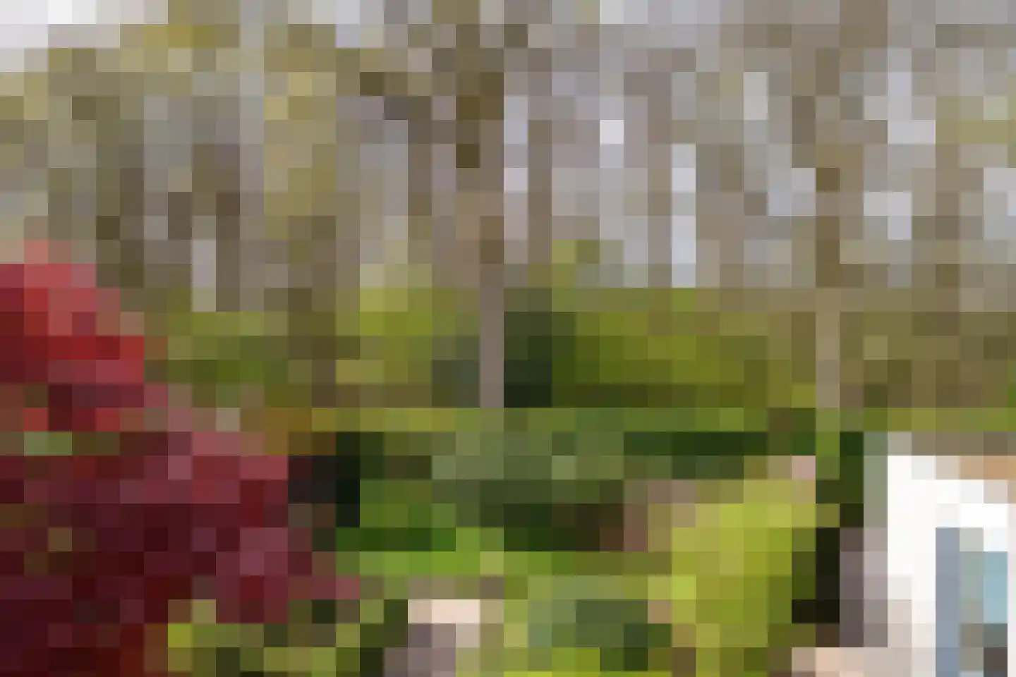 Vlierbesstraat 12 Wouwse Plantage thumbnail 22