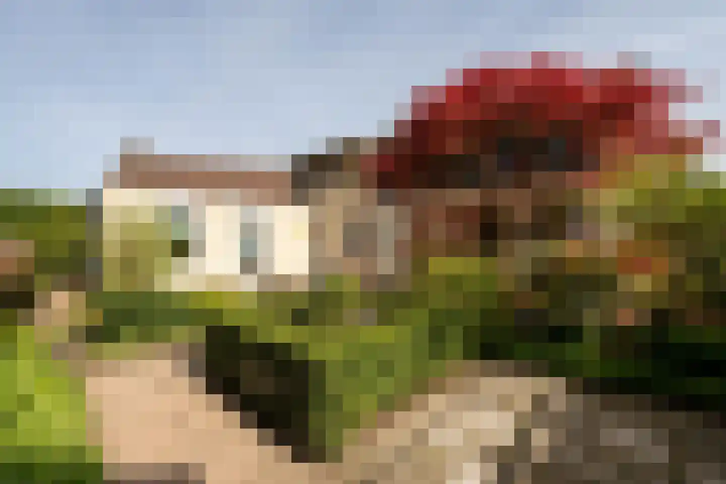 Vlierbesstraat 12 Wouwse Plantage thumbnail 37