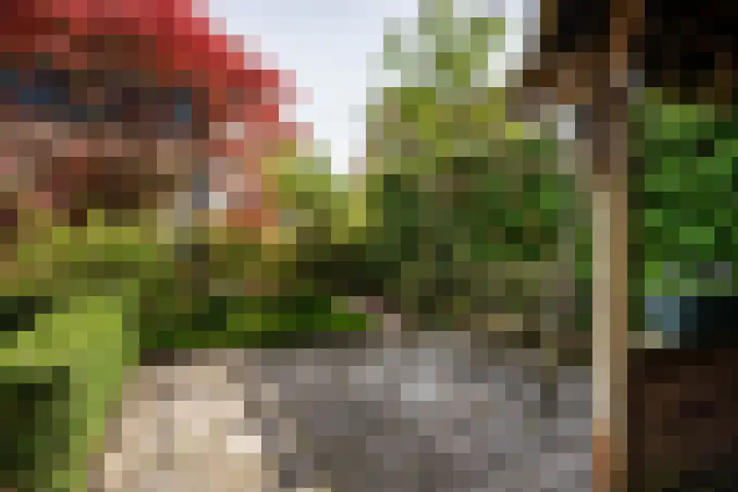 Vlierbesstraat 12 Wouwse Plantage thumbnail 40