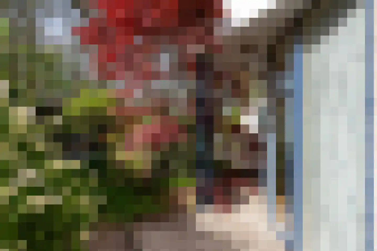Vlierbesstraat 12 Wouwse Plantage thumbnail 41