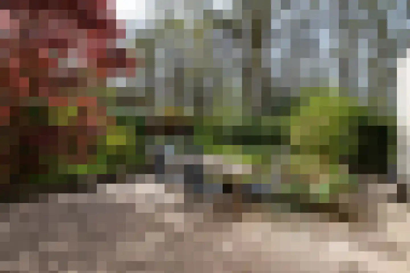 Vlierbesstraat 12 Wouwse Plantage thumbnail 6