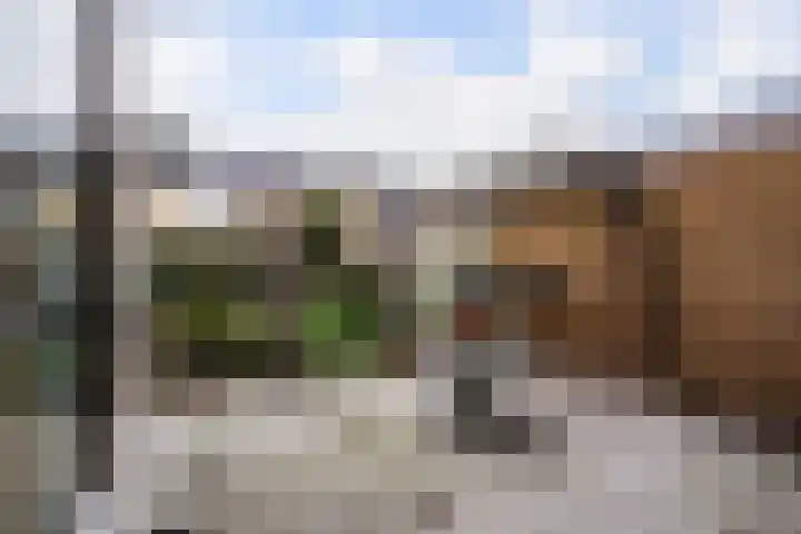Vlierboompad 10 's-Gravenzande thumbnail 15