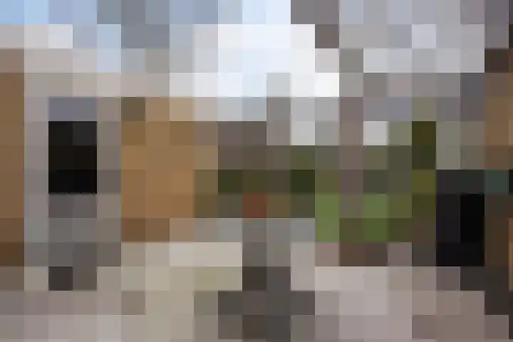 Vlierboompad 10 's-Gravenzande thumbnail 16
