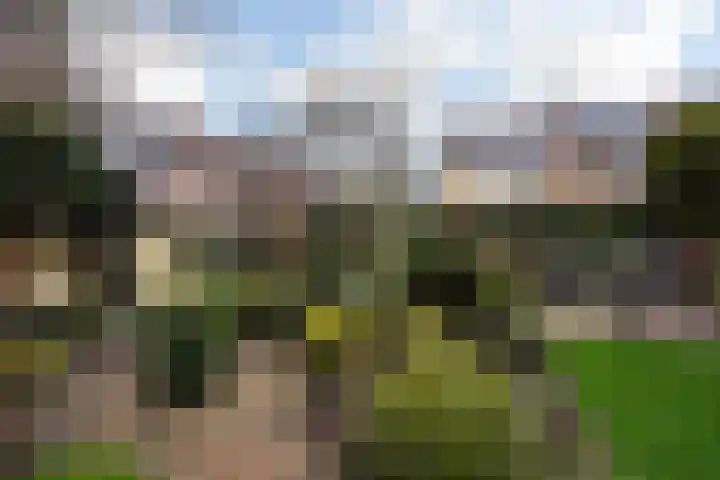 Vlierboompad 10 's-Gravenzande thumbnail 17
