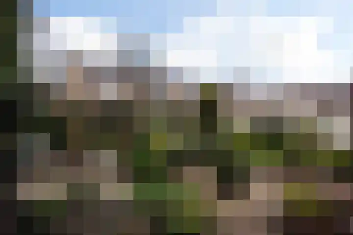Vlierboompad 10 's-Gravenzande thumbnail 18