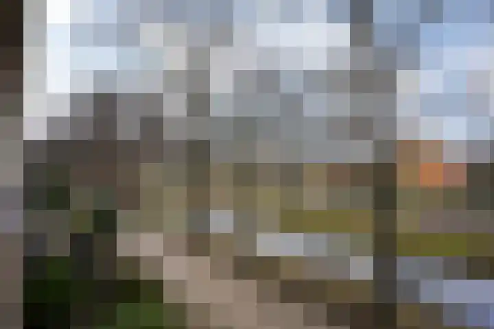 Vlierboompad 10 's-Gravenzande thumbnail 46