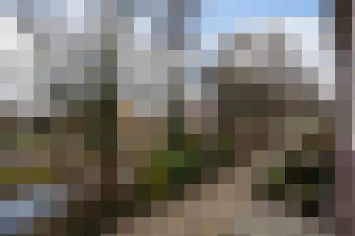 Vlierboompad 10 's-Gravenzande thumbnail 47