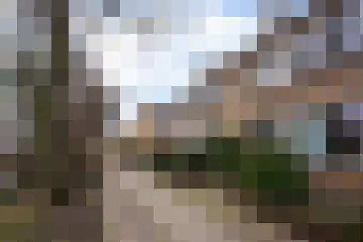 Vlierboompad 10 's-Gravenzande thumbnail 50