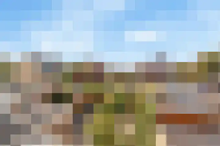 Vlierboompad 16 's-Gravenzande thumbnail 31