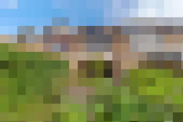 Vlierboompad 16 's-Gravenzande thumbnail 32