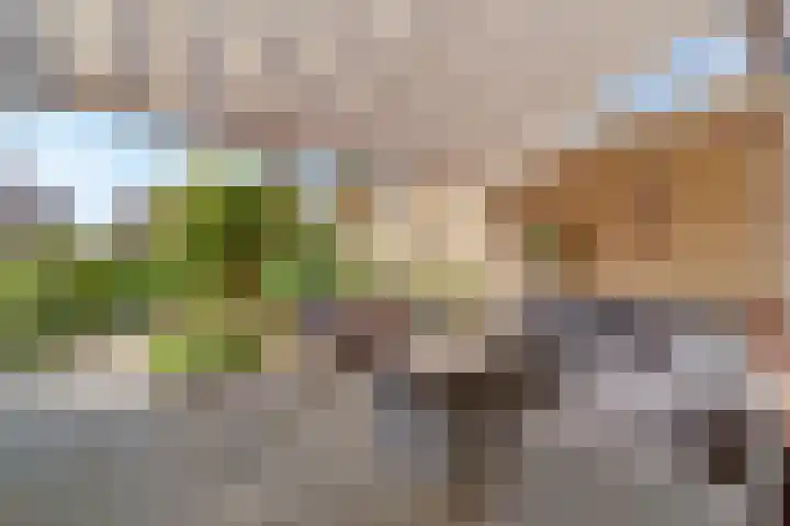 Vlierboompad 16 's-Gravenzande thumbnail 33