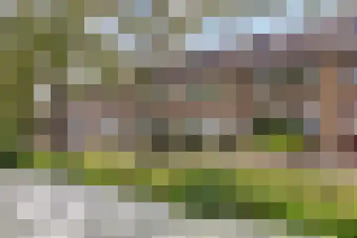 Vlierboompad 16 's-Gravenzande thumbnail 35
