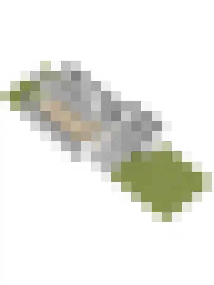 Vlierboompad 16 's-Gravenzande thumbnail 40