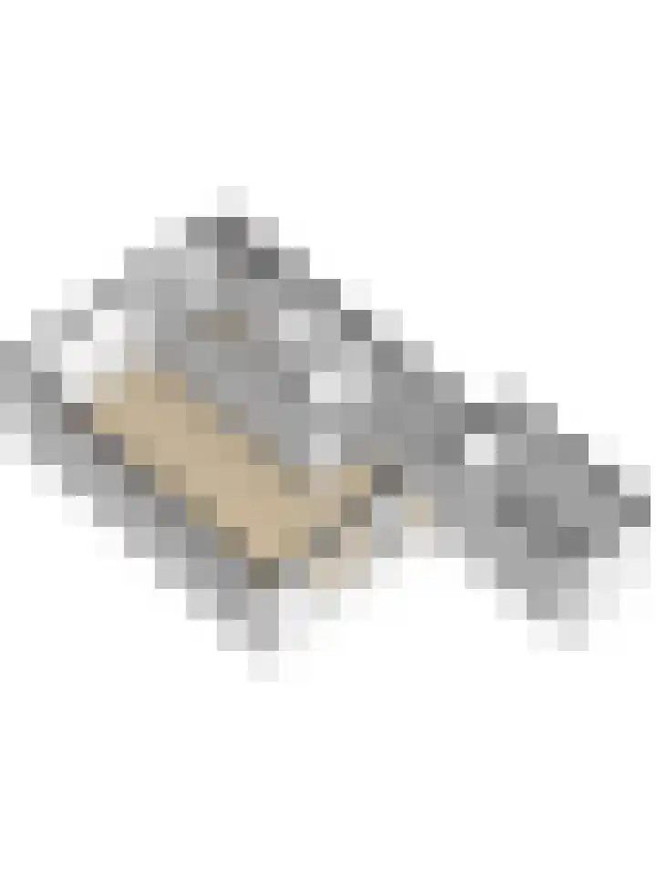 Vlierboompad 16 's-Gravenzande thumbnail 41