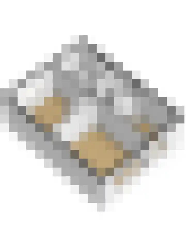 Vlierboompad 16 's-Gravenzande thumbnail 42