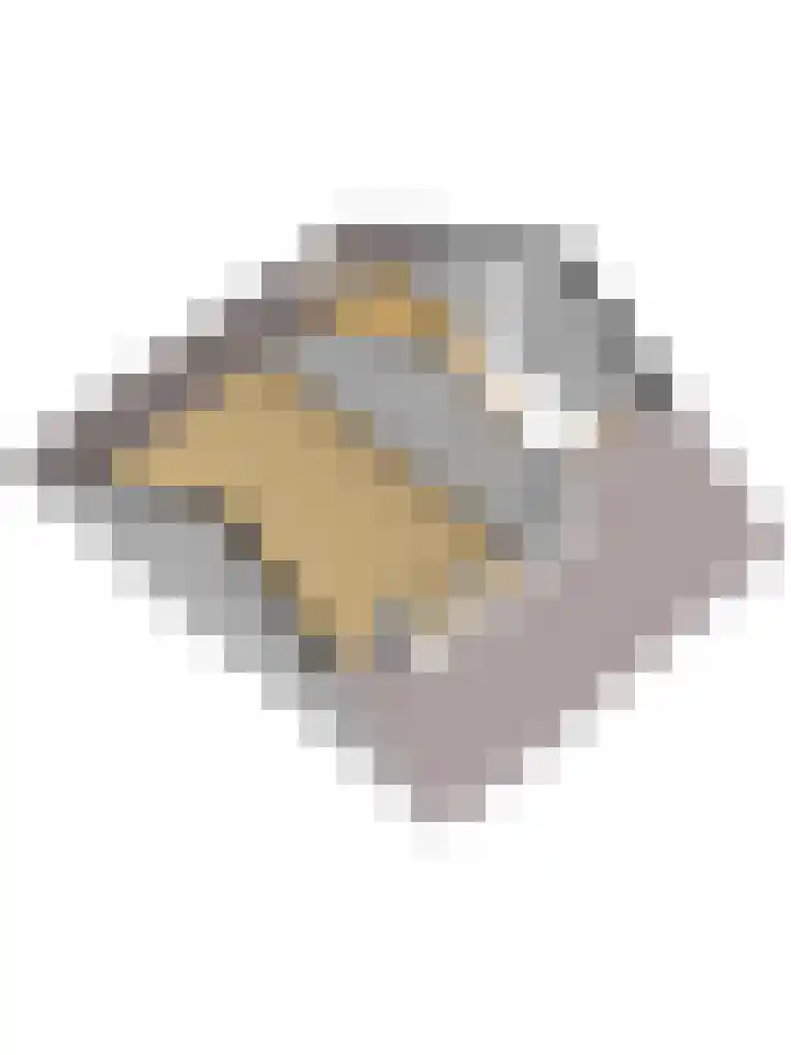 Vlierboompad 16 's-Gravenzande thumbnail 43