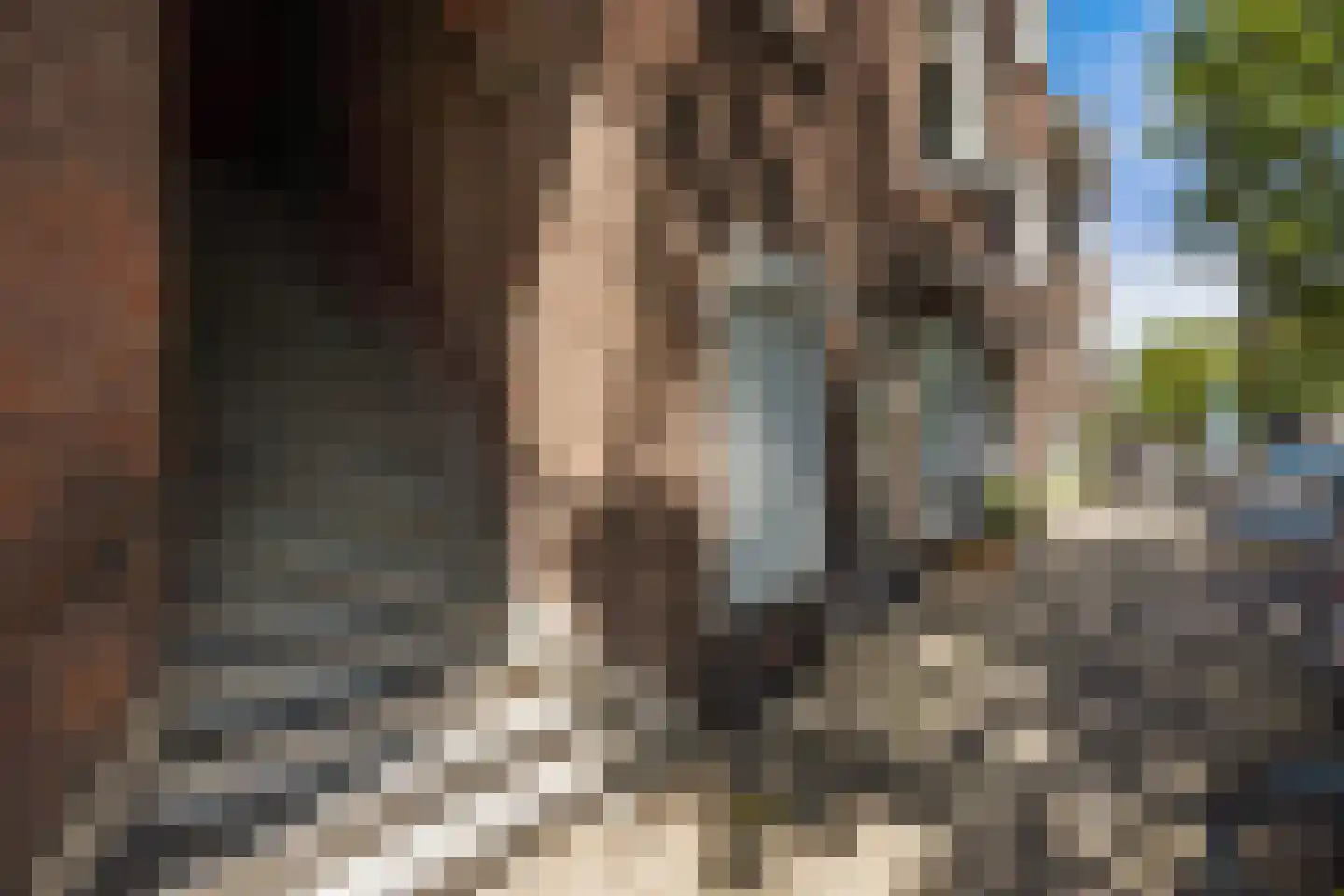Vlierboomstraat 155 Den Haag thumbnail 5