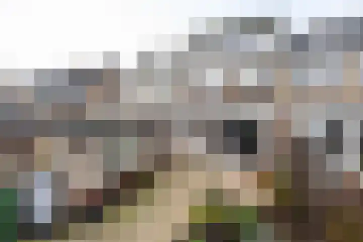 Vlierboomstraat 16 Alphen aan den Rijn thumbnail 26