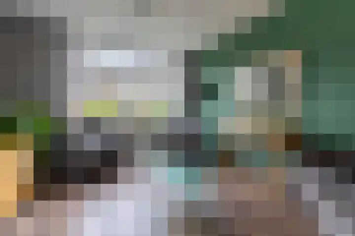 Vlierboomstraat 16 Alphen aan den Rijn thumbnail 4