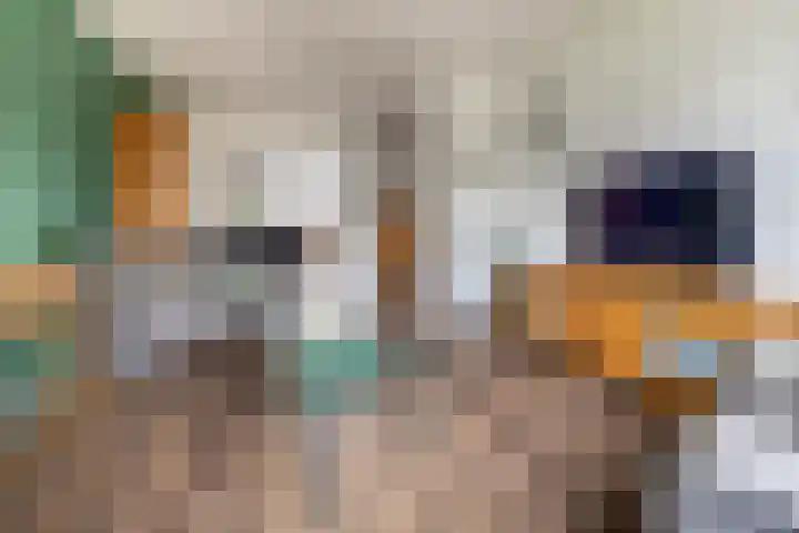 Vlierboomstraat 16 Alphen aan den Rijn thumbnail 5