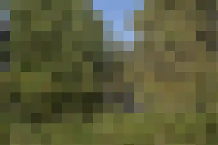 Vlierboomstraat 187 Den Haag thumbnail 30