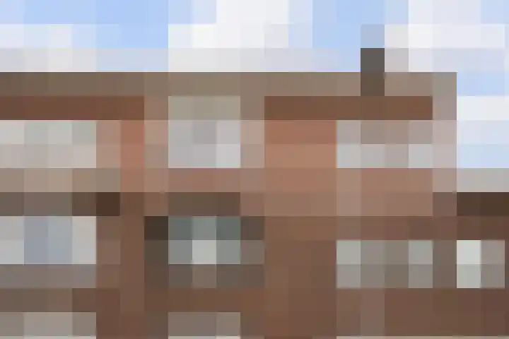 Vlierboomstraat 193 Den Haag thumbnail 55